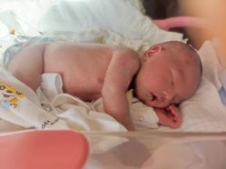 -喜月来月子会所