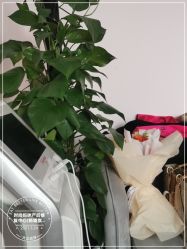 -时尚妈咪产后修复中心