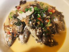 焖禾花鱼-上菜呷饭(唐家店)