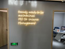 -MC皮肤管理中心