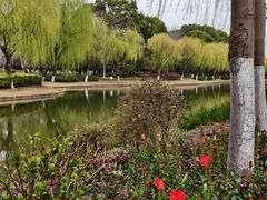 -上海鲜花港