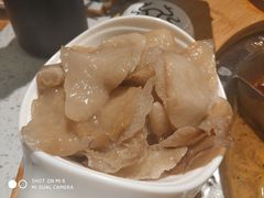 高山野生羊耳菌-大龙燚火锅