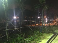 -金鸡岭桥头公园