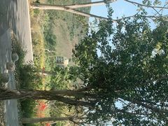 -海南热带雨林国家公园吊罗山景区