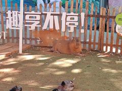 -昆明动物园
