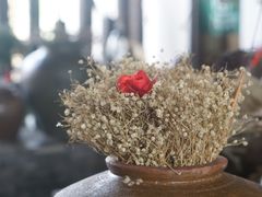 -几荷·恰似故人来(秀水广场店)