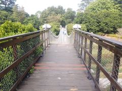 -东莞植物园