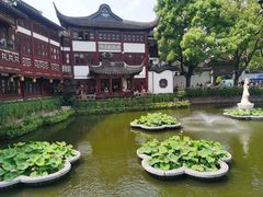 -星巴克(豫园九曲桥店)