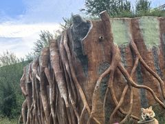 -桑干河大峡谷旅游区