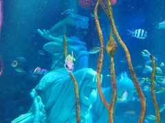 -沈阳海洋探索中心