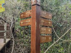 -中国科学院西双版纳热带植物园