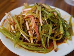 拌折耳根-叶老大肥肠