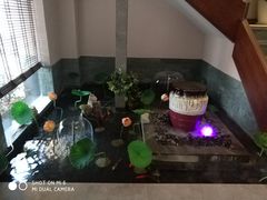 -韵道养生.足道.按摩.SPA(古美店)