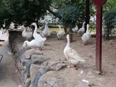 -汤峪温泉碧水湾