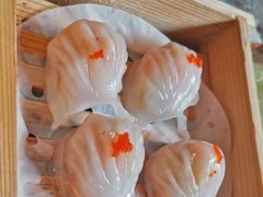 -金龙寨.传承桂林菜(金城店)