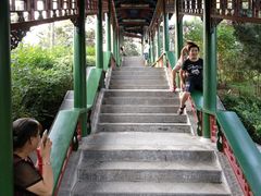 -迎泽公园
