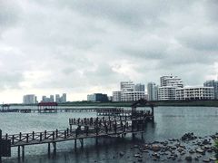 -碧海金沙