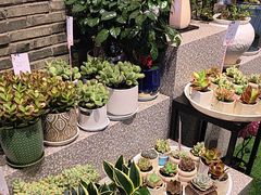 -豆豆花艺(新光天地店)