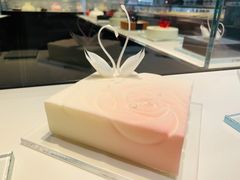 -BLACKSWAN黑天鹅(环球店)