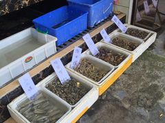 -蠔门宴海鲜城·阳江特色菜