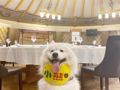 -九十九顶毡房(阜石路店)