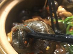 -食爺炭炉鸡煲·烧烤