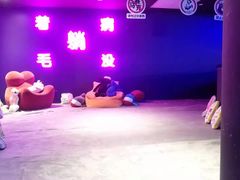 -VS SPORTS PARK运动玩乐园·团建·生日会(合生汇店)