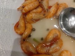 -圆苑(静安寺店)