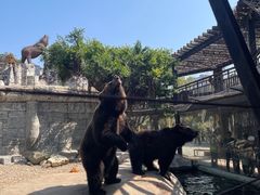 -灵玲国际马戏城