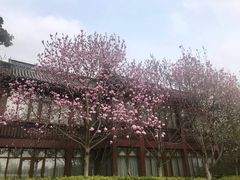 -扬州瘦西湖汇金酒店