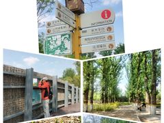 -翠湖国家城市湿地公园