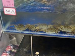 -阳澄湖大闸蟹·琼灵阁牌品牌连锁(吴中总店)