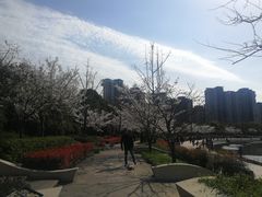 -新江湾城公园