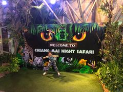 -清迈夜间动物园