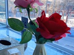 -峨嵋酒家(清河店)