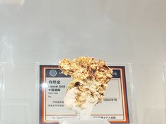 -中国地质大学逸夫博物馆