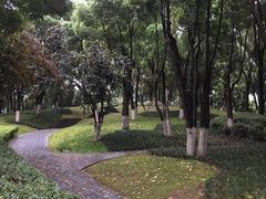 -重庆市江北嘴中央商务区中央公园