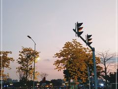 -洲头咀公园
