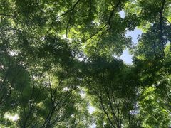 -苏州河梦清园环保主题公园