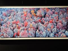 -罗红摄影艺术馆