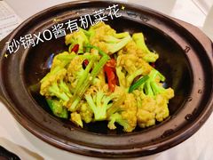 砂锅XO酱有机菜花-金满楼(天河中路店)