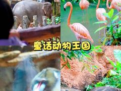 -长鹿旅游休博园