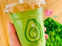 能量油梨果-油梨树AVOCADO TREE(嘉里中心店)