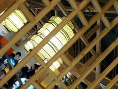 -探窝·竹笙椰子鸡(杨箕店)