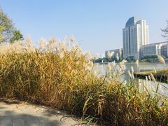 -江南大学(蠡湖校区)