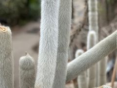 -北京植物园-展览温室