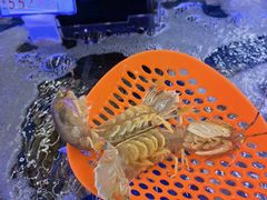 -大润发(芜湖店)
