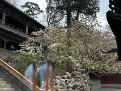 -潭柘寺景区
