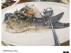 -东豪园林海鲜酒家(南港路辅路店)