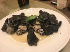 -沙龙酒家
